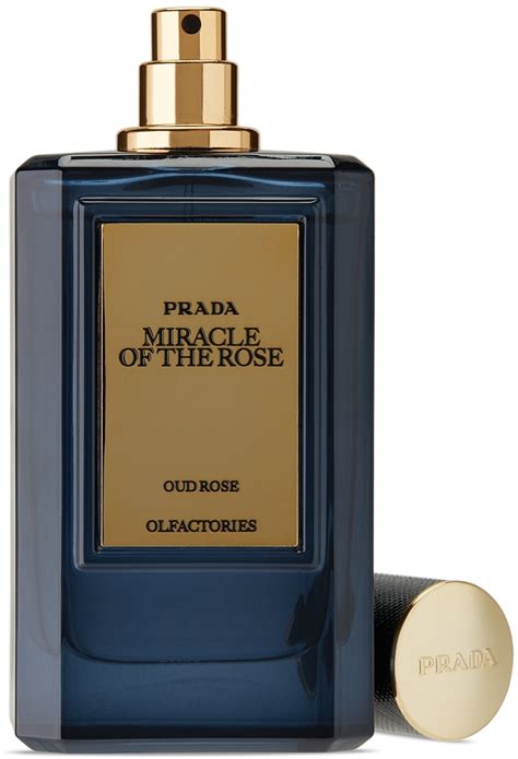 perfume prada rose precio|prada miracle of the rose.